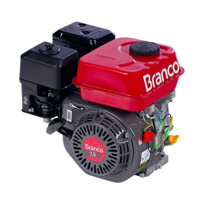 Motor a Gasolina B4t 7.5hp