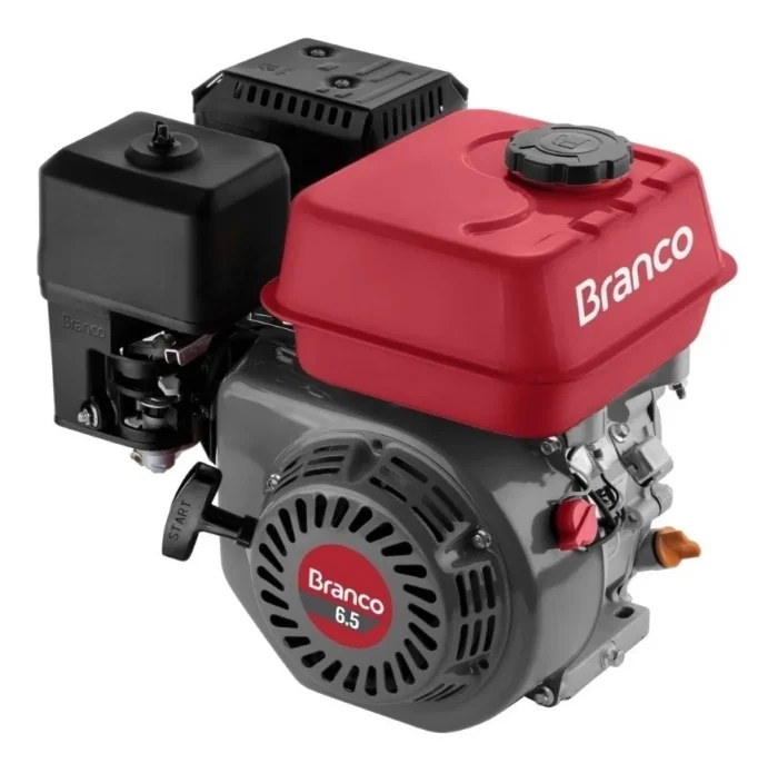 Motor B4t 6.5hp